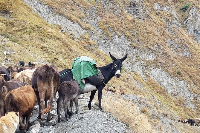 Kazbegi MOUNTAIN Tour (GLORY OF THE NATURE) + MANY NEW LOCATIONS - Zhinvali Reservoir from a high viewpoint