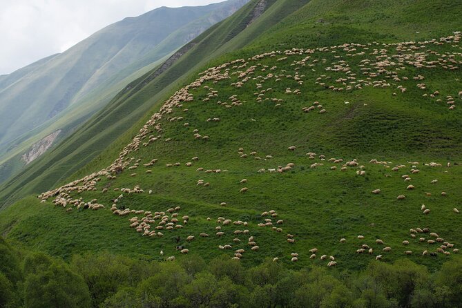 Kazbegi - One Day Private Trekking Tour to Truso Valley - Ketrisi, the picnic, and everyday mountain life