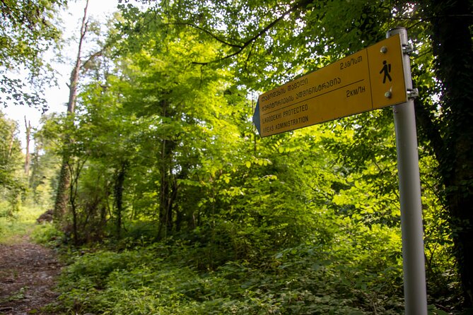 Lagodekhi - A day hiking from Tbilisi - Why this Lagodekhi day trip is worth your time