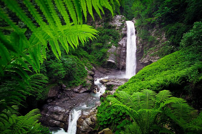 Lagodekhi - A day hiking from Tbilisi - Who will enjoy this hike most