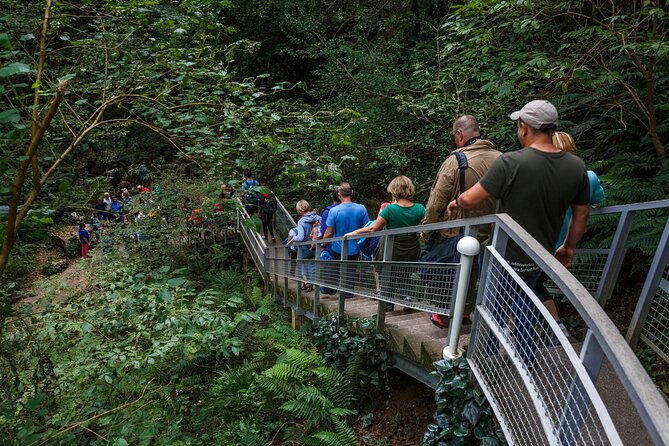 Martvili canyon & Prometheus Cave group tour from Tbilisi - Should you book the Martvili and Prometheus tour?