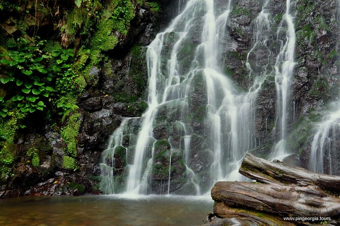 Mountains of Adjara Private Wine Tour from Batumi - Makhuntseti Waterfall and the river valley