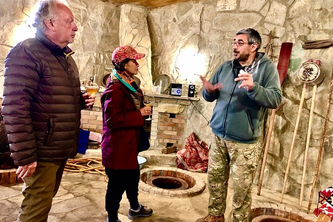 Natural Wine Tour to Kartli region, lunch & wine tasting at Andro Barnovi - Key points at a glance