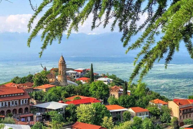 One Day Kakheti Tour with Wine Tasting and Free Churchkhela - Manavi, a gentle introduction to village life