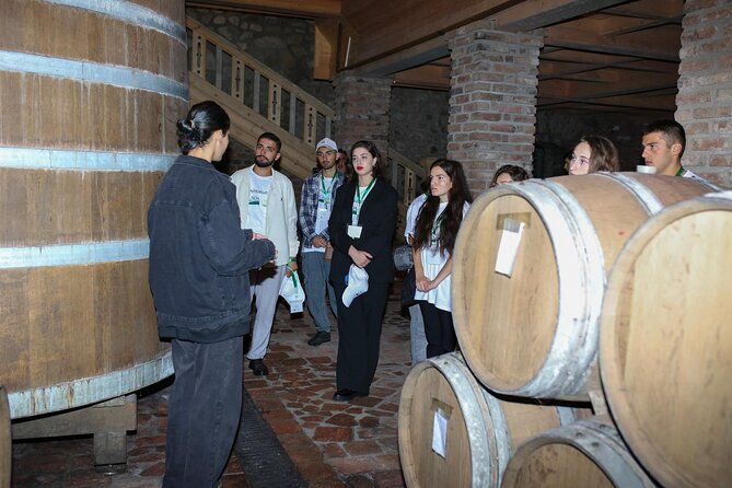 One Day Kakheti Tour with Wine Tasting and Free Churchkhela - The guide can make or break the road time
