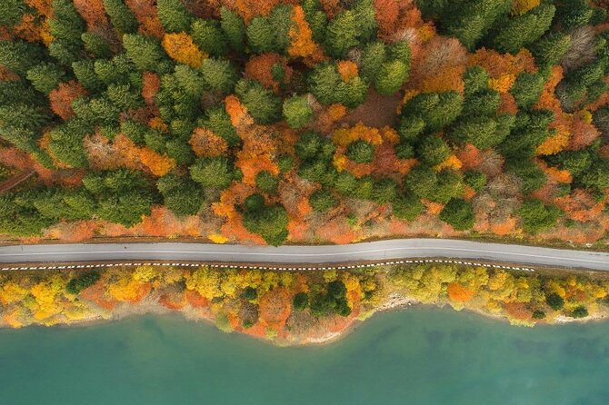 Oxygen Paradise A Day Tour to Racha Mountain - Shaori Reservoir, the high forest stop