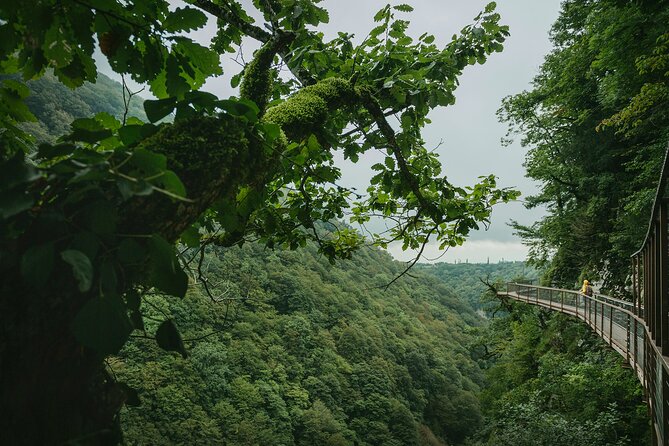 Private Canyon&Cave Tour from Kutaisi(Martvili-Okatse-Prometheus) - Is $54 a fair price?