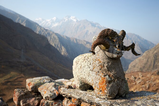 Private day trip to the Caucasus mountains and the Russian border - Lunch with mountain views