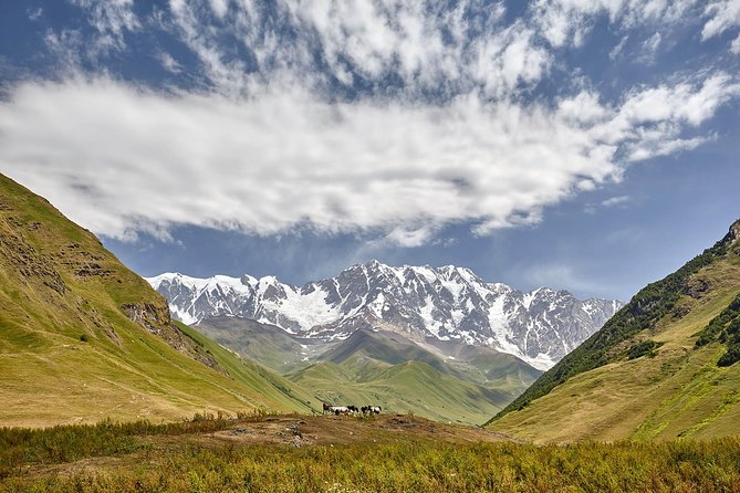 Private five days tour to Svaneti-Mestia, Ushguli, Becho,Chalaadi - Is $50 good value?