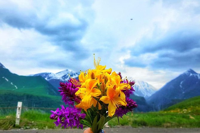 Private Full Day Tour In Kazbegi - Gudauri (Paragliding & Rafting) - What the $76.93 price really covers