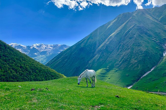 ️Private Full-Day Tour to Mtskheta and Kazbegi(stepantsminda) from Tbilisi - From Tbilisi to Georgia’s old capital