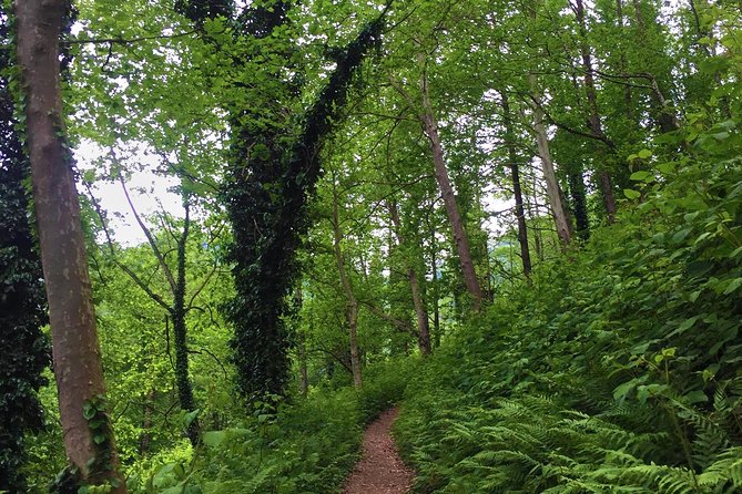 Private Hiking Tour to Mtirala National Park from Batumi - Why Mtirala makes a good half-day escape
