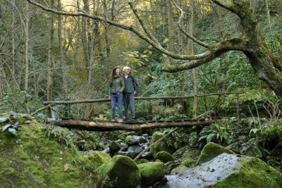Private Hiking Tour to Mtirala National Park from Batumi