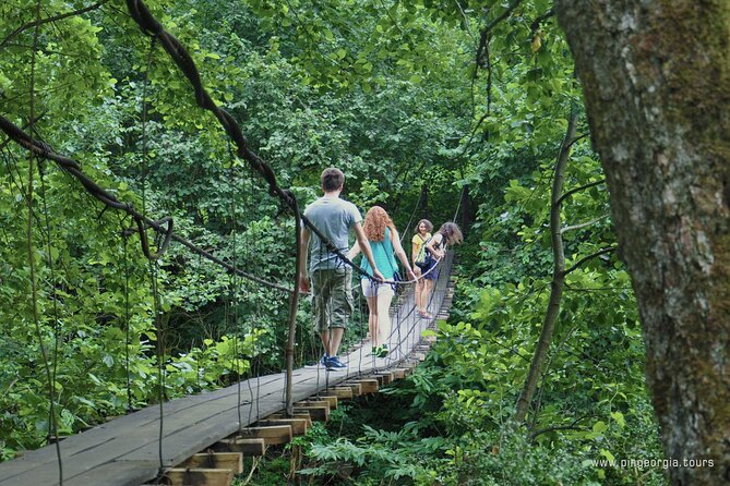 Private Hiking Tour to Mtirala National Park from Batumi - What the English-speaking guide adds