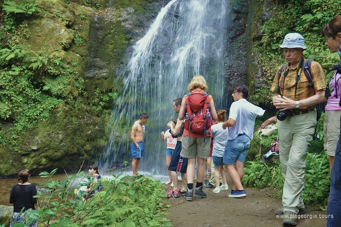 Private Hiking Tour to Mtirala National Park from Batumi - How difficult is the walk?