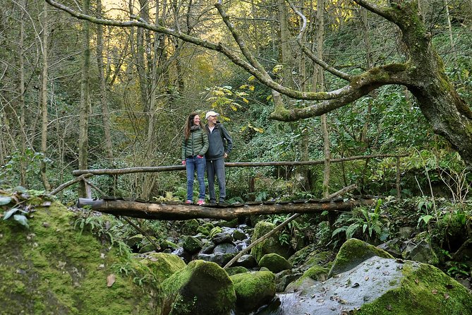 Private Hiking Tour to Mtirala National Park from Batumi - The 6-kilometer Chestnut Trail