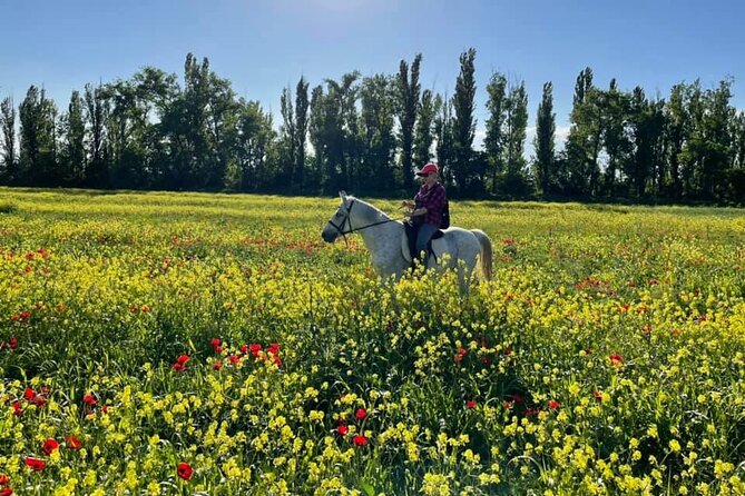 Private Horse Ridding tour - Weather, timing, and cancellation rules
