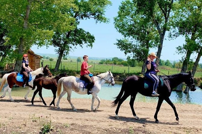 Private Horse Ridding tour - Why the private format matters