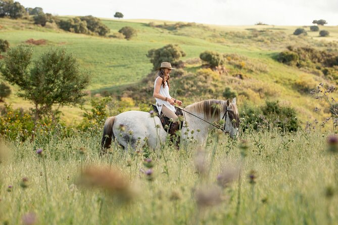 Private Horse Riding Adventure in Tbilisi - A Private Ride With Real Advantages
