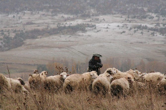 Private Tour to Kazbegi from Tbilisi - Key points about the Kazbegi day trip