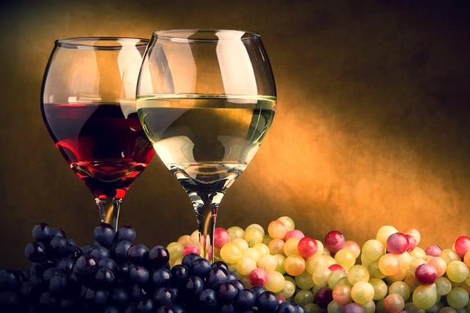 Private Tour to Mtskheta and Georgian Wine Tasting from Tbilisi - The private format and guide quality