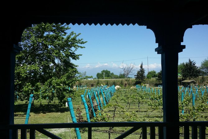 Private Wine Tour to Kakheti from Tbilisi - Why this Kakheti day trip works well from Tbilisi