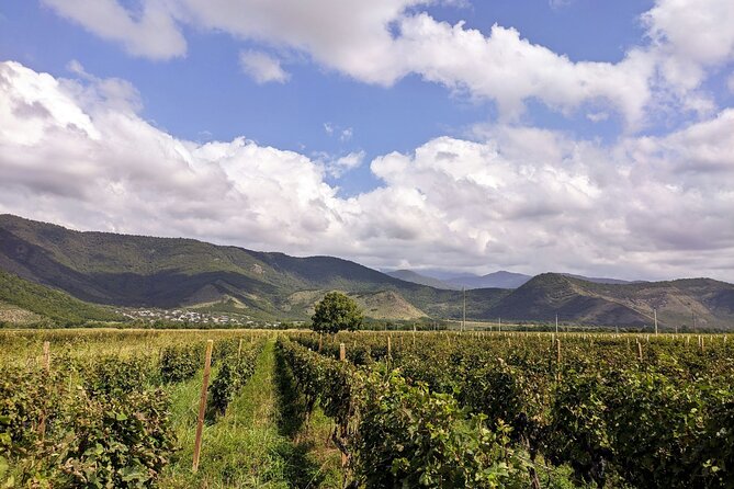 RACHA region with TSKHRAJVARI and wine tasting from Kutaisi - Who should book this Racha day?