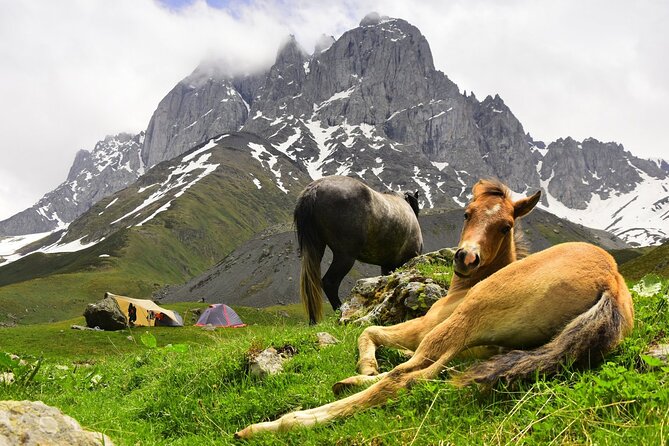 Round Trip Bus Transfer to Juta from Kazbegi - What you can do in Juta