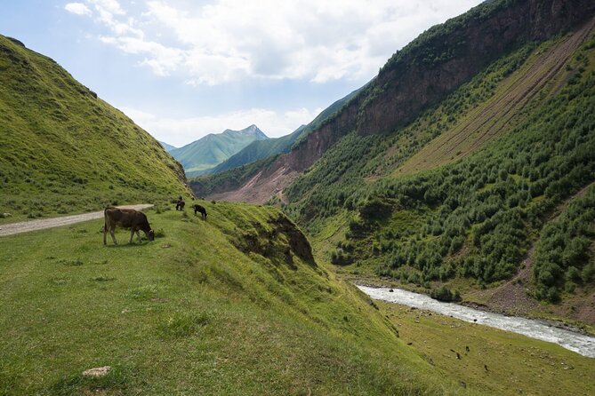 Round-Trip Bus Transfer to Truso Valley from Kazbegi - Mineral springs, pools, and the wide Truso Valley
