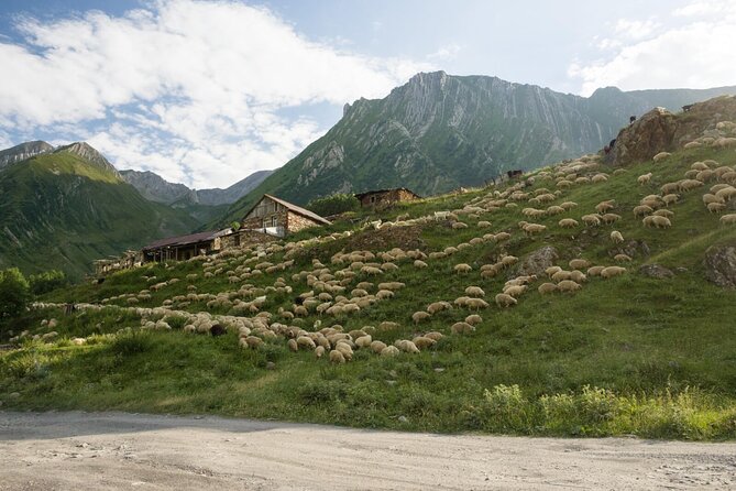 Round-Trip Bus Transfer to Truso Valley from Kazbegi - What the $22.53 price really buys you