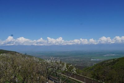 Secrets of Kakheti: Wine & Home-Cooked Lunch