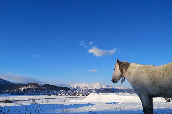 Ski & Snow Tour to Bakuriani from Kutaisi with Borjomi Stop - Food, timing, and the real value of a 12-hour day