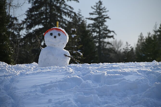 Ski & Snow Tour to Bakuriani from Kutaisi with Borjomi Stop - Should you book the Borjomi and Bakuriani tour?