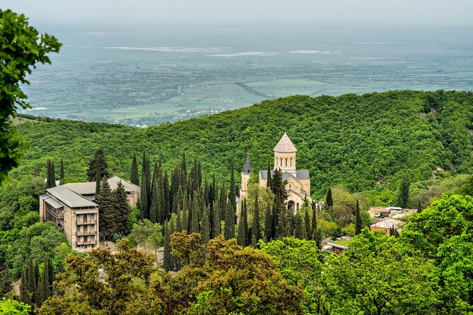 Taste of Kakheti: Wine Tour Bread Baking & Churchkhela Workshop - Telavi’s giant plane tree
