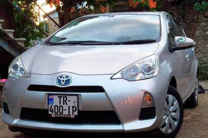 Tbilisi Airport Shuttle And Transfer Service - How dependable is the pickup?