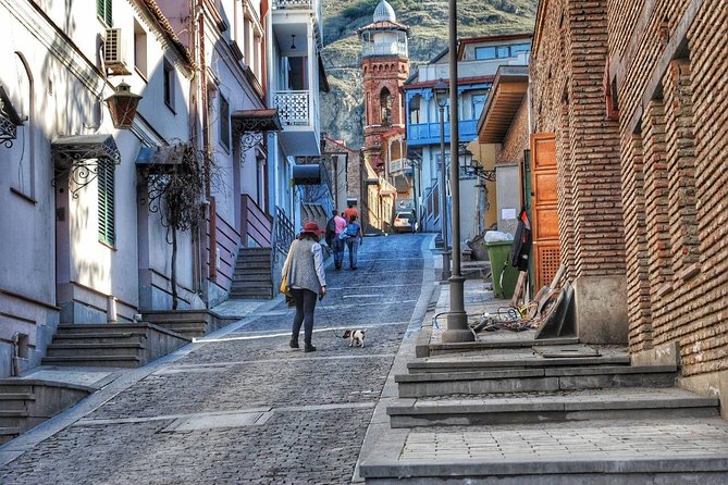 Tbilisi Private Arrival Airport Transfer - Vehicle space, luggage, and group value