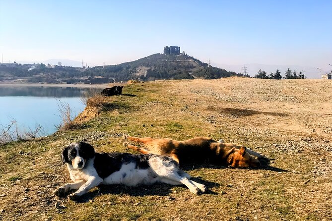 Tbilisi: Sabaduri Forest, Georgian Stonehenge & Bear Sanctuary - The Aragvi and Mtkvari river view