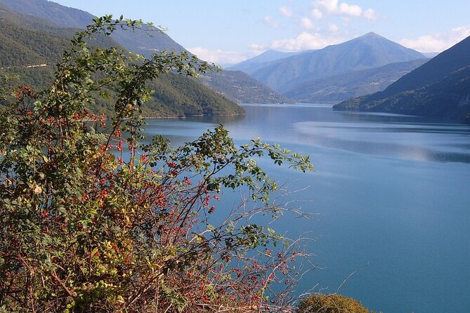 Tbilisi to Kazbegi, Gudauri, and Ananuri Day Tour - Guides, language, and the human side of the day