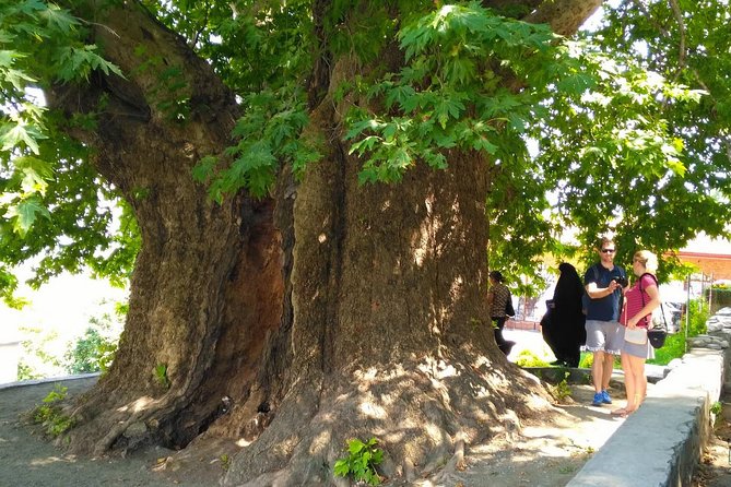 Tour to Kakheti. Sighnaghi –Bodbe Monastery –Tsinandali –Telavi –Winery –Gombori - Tsinandali Estate and the Chavchavadze story