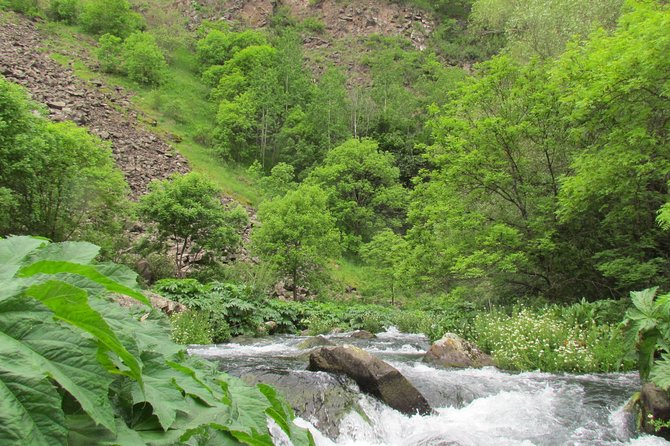 Trip to The Diamond Bridge and Dashbashi Canyon - Is $69 a fair price?