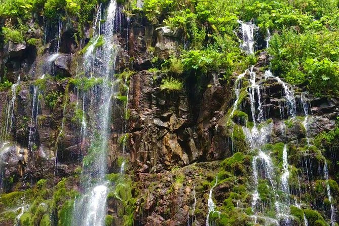 Tsalka Canyon Tour from Tbilisi with Poka Nunnery, Gorelovka and Asureti - Why this 12-hour route is different