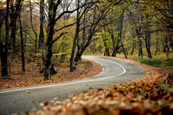 Whole day Wine Tour to Kakheti from Tbilisi - Sighnaghi brings the best views