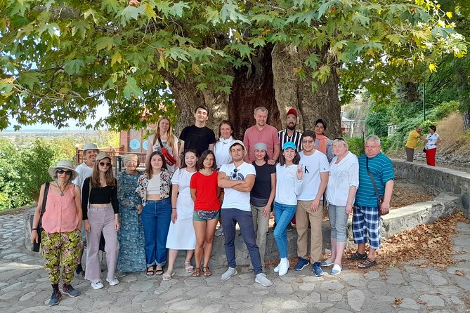 Whole day Wine Tour to Kakheti from Tbilisi - Telavi combines history, food, and wine