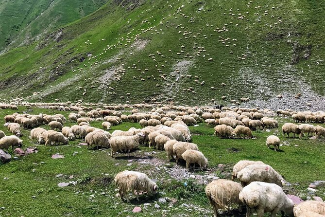Wild Georgia 4WD PACK Adventure through Kakheti and Kazbegi 2in1 - Day two: the road into Kazbegi