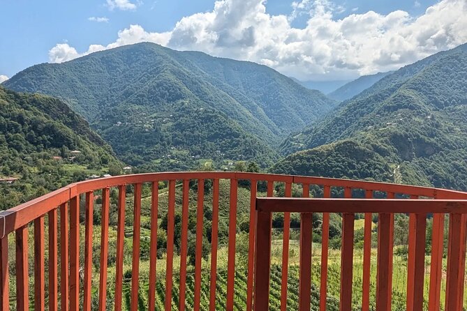 Wine and Dine Tour To Batumi Waterfalls - Mountainous Adjara - What the strongest guide service looks like