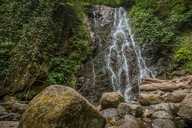 Wine and Dine Tour To Batumi Waterfalls - Mountainous Adjara - Is $42 good value?