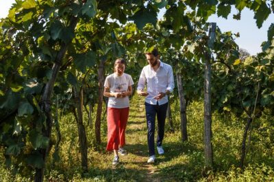WINE & DINE Tour from Kutaisi
