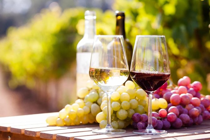 Wine Tasting Tour in Georgia's Cradle of Wine - Day two: Signagi museums, khachapuri, and natural wine