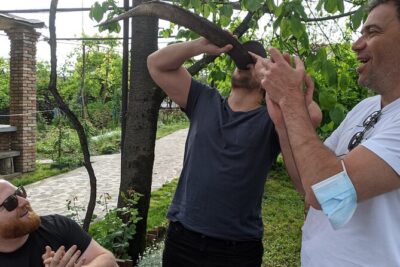 Wine Tasting Tour in Georgia’s Cradle of Wine