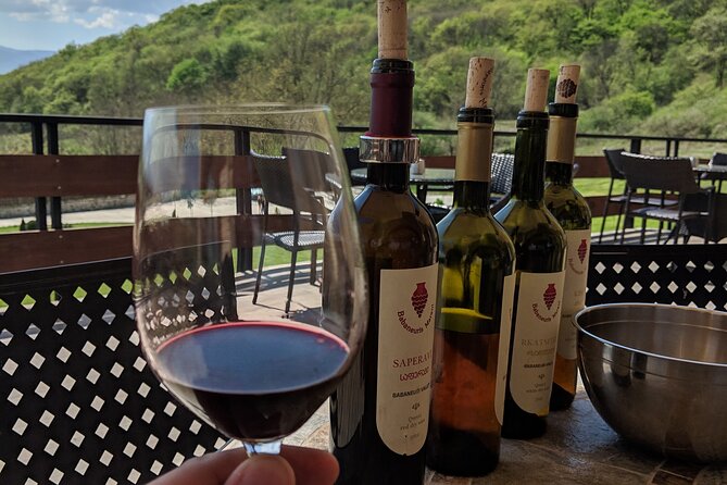 Wine Tasting Tour in Georgia's Cradle of Wine - The guide and the private-tour format